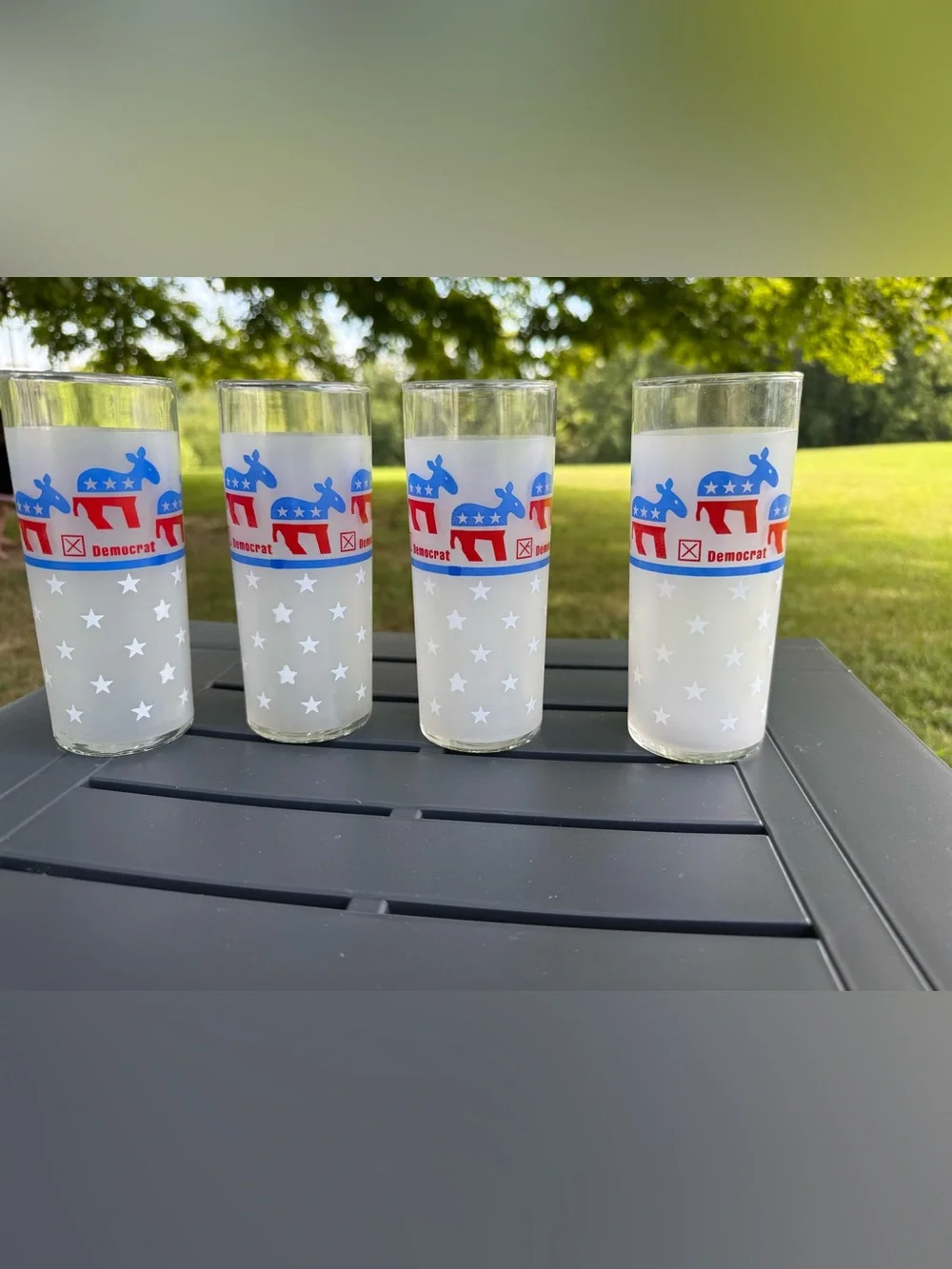 Vintage “Democrat” frosted Libbey glasses